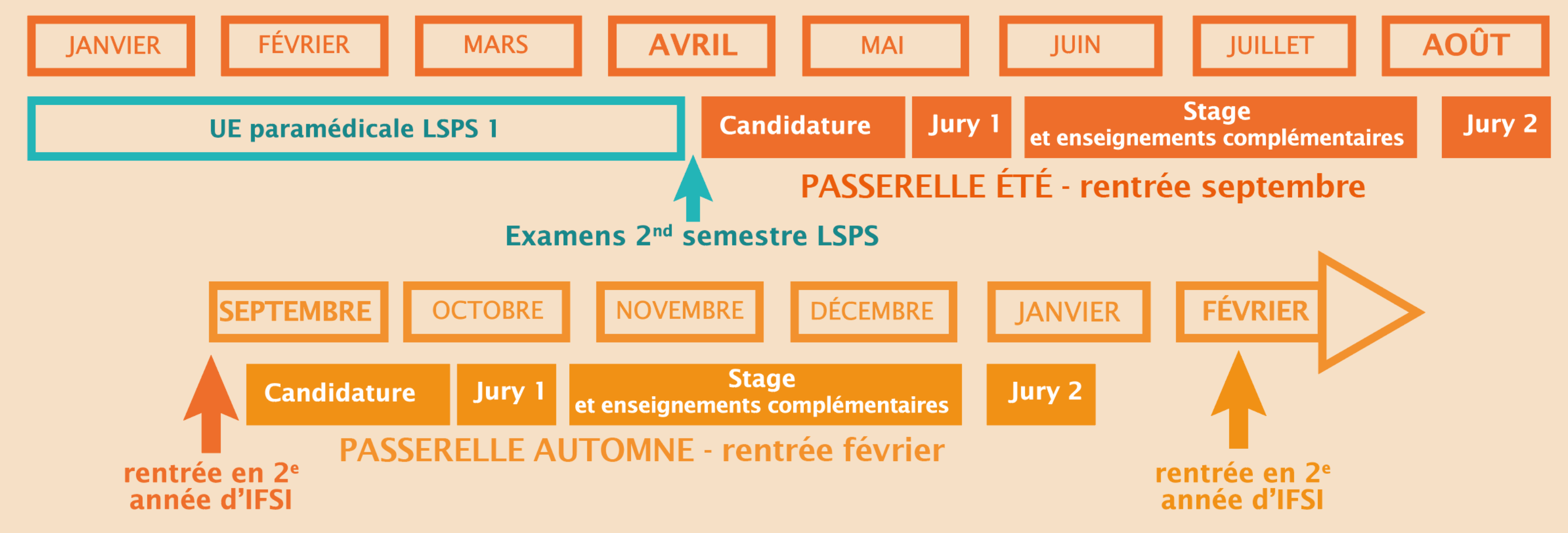 calendrier passerelle LSPS - IFSI