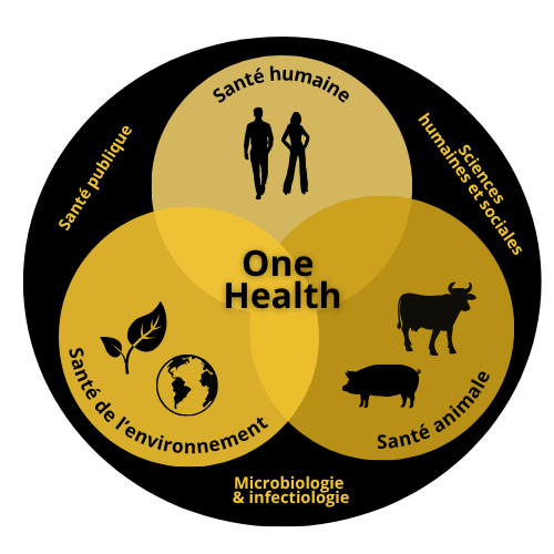 visuel one health 2025